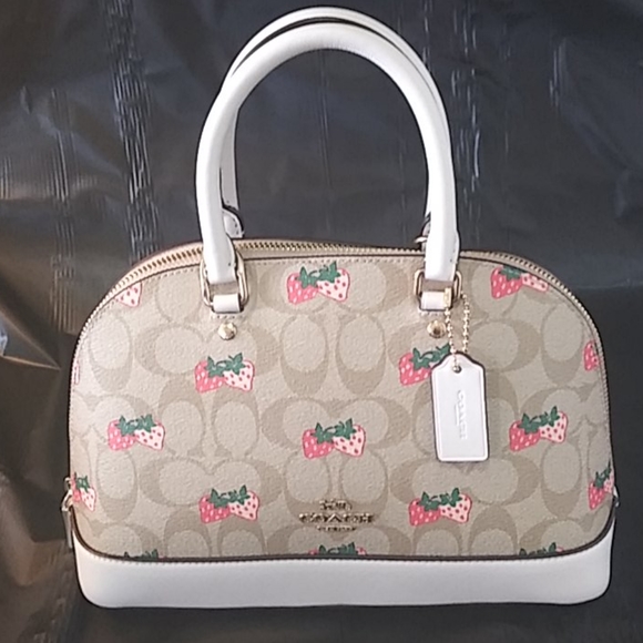 coach strawberry purse